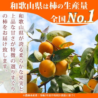 【ご家庭用訳あり】和歌山秋の味覚 平核無柿(ひらたねなしがき) 約7.5kg【uot718A】