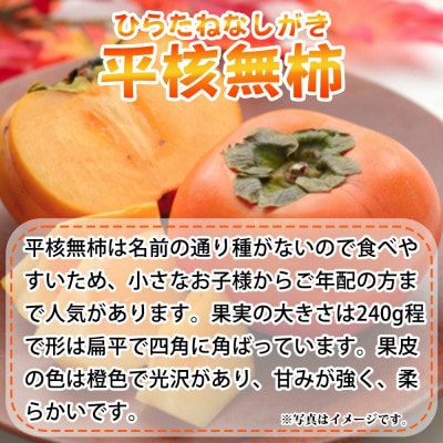 【ご家庭用訳あり】和歌山秋の味覚 平核無柿(ひらたねなしがき) 約7.5kg【uot718A】