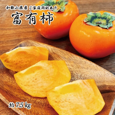 【ご家庭用訳あり】和歌山秋の味覚 富有柿 約7.5kg【uot719A】