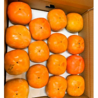 【ご家庭用訳あり】和歌山秋の味覚 富有柿 約7.5kg【uot719A】