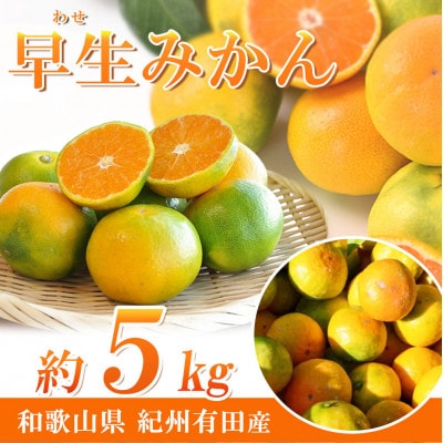 紀州和歌山 有田産 ゆら早生みかん 5kg【uot721】