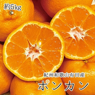 紀州和歌山有田産 ポンカン 5kg【uot722】