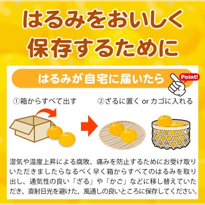 果肉ぷりぷり! 完熟はるみ 5kg 【uot732】