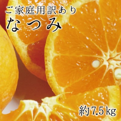 【ご家庭用訳アリ】初夏のみかん なつみ 7.5kg【uot733A】