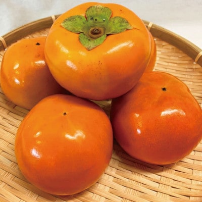 和歌山秋の味覚 富有柿 約2kg 化粧箱入【uot739】