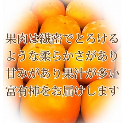 【ご家庭用わけあり】和歌山秋の味覚 富有柿 3.5kg【uot741】