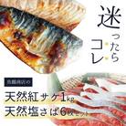 迷ったらコレ!!魚鶴商店の天然紅サケ約1kg & 塩さばフィレ6枚セット【uot744A-1】