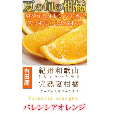 秀品 希少な国産 バレンシアオレンジ　2.5kg【uot752】