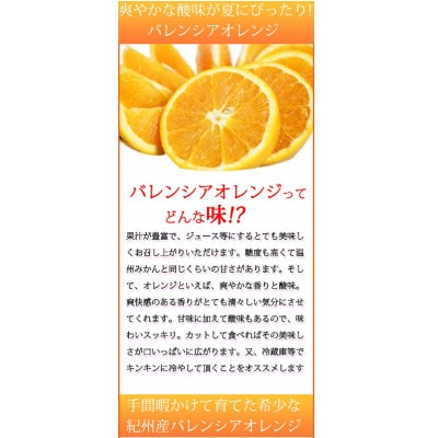 秀品 希少な国産 バレンシアオレンジ　2.5kg【uot752】