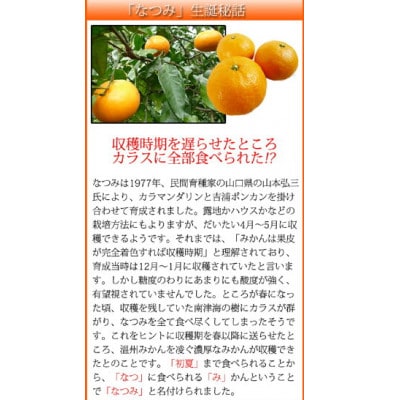 初夏のみかん なつみ 3kg【uot753A】