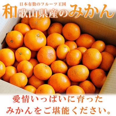 初夏のみかん なつみ 3kg【uot753A】