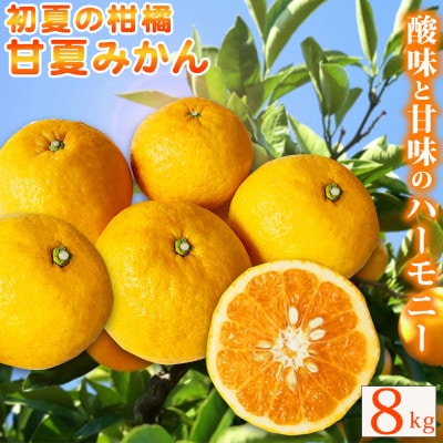 【ご家庭用訳あり】甘夏みかん 8kg ※2026年3月上旬頃〜下旬頃に順次発送予定【uot847】