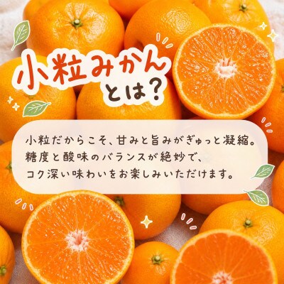 有田小粒みかん5kg(S～3Sサイズ混合) 2026年11月下旬～12月下旬順次発送【uot845】