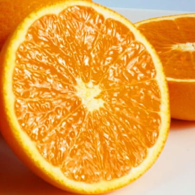 【ご家庭用訳アリ】清見オレンジ5kg ※2026年3月下旬〜2026年4月中旬頃発送【uot833】