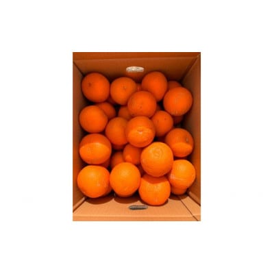 【ご家庭用訳アリ】清見オレンジ5kg ※2026年3月下旬〜2026年4月中旬頃発送【uot833】