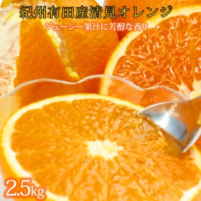 清見オレンジ 2.5kg　※2027年4月上旬頃～2027年4月下旬頃に順次発送予定【uot832】