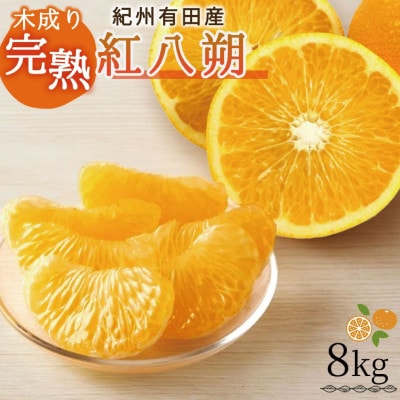木成り完熟紅八朔8kg ※2026年2月末頃～2026年3月中旬頃に順次発送予定【uot795】