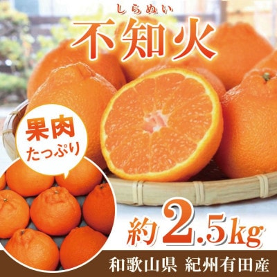 不知火2.5kg ※2026年2月中旬頃～2026年3月中旬頃に順次発送予定【uot794】