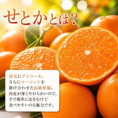 ジューシー柑橘 せとか 約2.5kg※2027年2月上旬〜2月下旬頃に順次発送予定【uot789A】