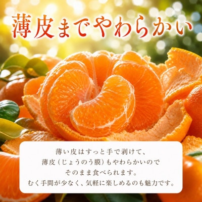 ジューシー柑橘 せとか 約2.5kg※2027年2月上旬〜2月下旬頃に順次発送予定【uot789A】