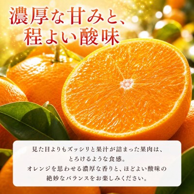 ジューシー柑橘 せとか 約2.5kg※2027年2月上旬〜2月下旬頃に順次発送予定【uot789A】