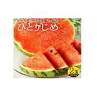 和歌山産小玉スイカ「ひとりじめ」2玉※2026年6月上旬頃～7月上旬頃に順次発送予定【uot779】