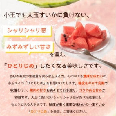 和歌山産小玉スイカ「ひとりじめ」2玉※2026年6月上旬頃～7月上旬頃に順次発送予定【uot779】