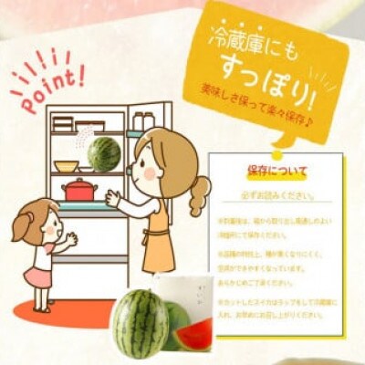 和歌山産小玉スイカ「ひとりじめ」2玉※2026年6月上旬頃～7月上旬頃に順次発送予定【uot779】