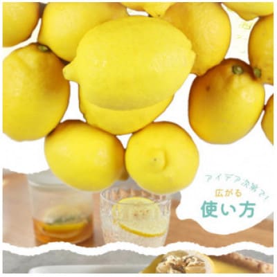 【ご家庭用訳あり】紀州有田産レモン　2.5kg※2026年3月上旬〜中旬頃に順次発送【uot777】