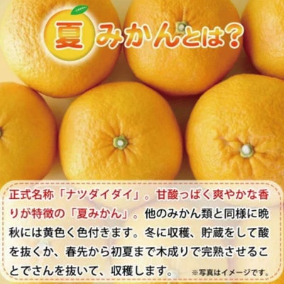 夏みかん 7.2kg　※2026年4月中旬頃～2026年4月下旬頃順次発送【uot775】