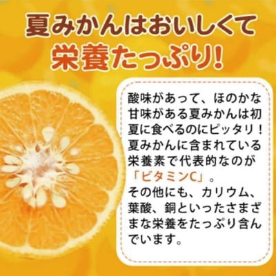夏みかん 7.2kg　※2026年4月中旬頃～2026年4月下旬頃順次発送【uot775】