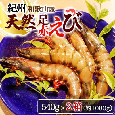 天然足赤えび540g×2箱化粧箱※2025年11月下旬頃～2026年1月下旬頃発送【uot773A】