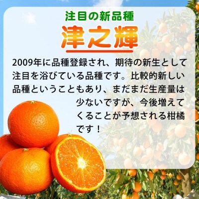 津之輝(つのかがやき)　5kg ※2027年2月上旬頃～下旬頃に順次発送予定【uot761】