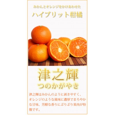 津之輝(つのかがやき)　5kg ※2026年2月上旬頃～下旬頃に順次発送予定【uot761】