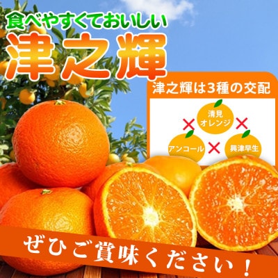 津之輝(つのかがやき)　5kg ※2027年2月上旬頃～下旬頃に順次発送予定【uot761】