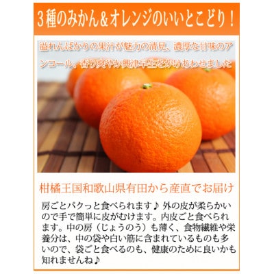 津之輝(つのかがやき)　5kg ※2026年2月上旬頃～下旬頃に順次発送予定【uot761】