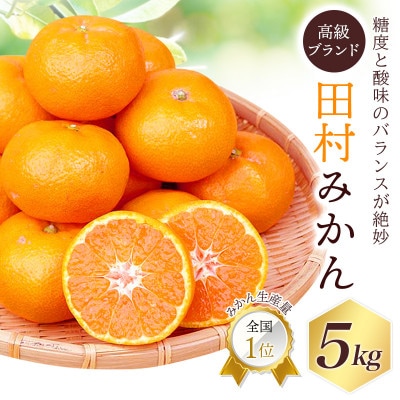 高級ブランド 田村みかん 5kg【uot504A】