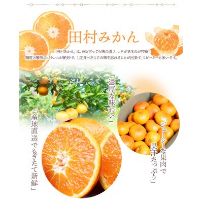 高級ブランド 田村みかん 5kg【uot504A】