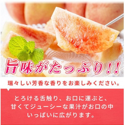 紀州和歌山産の桃 約1.8kg 化粧箱入【uot720-2】