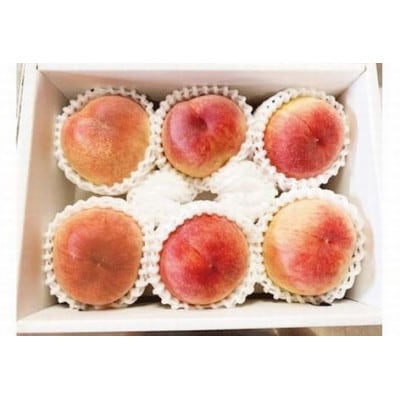 紀州和歌山産の桃 約1.8kg 化粧箱入【uot720-2】