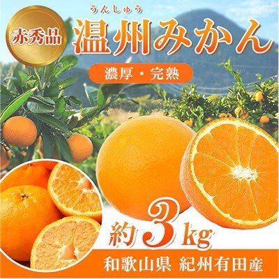 赤秀品 紀州有田産 濃厚完熟 温州みかん 3kg(MサイズまたはSサイズ)【uot713】