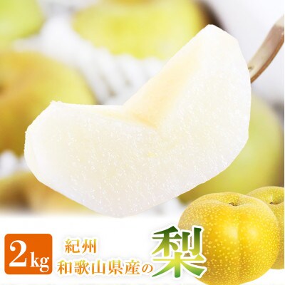 紀州和歌山産の梨 2kg 化粧箱入【uot788】