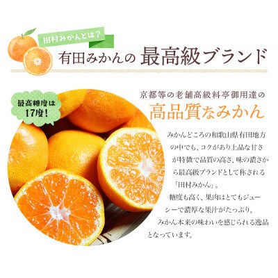 高級ブランド 田村みかん 10kg【uot505A】