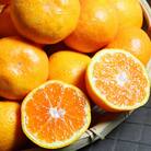 高級ブランド 田村みかん 10kg 大玉サイズ【uot716】