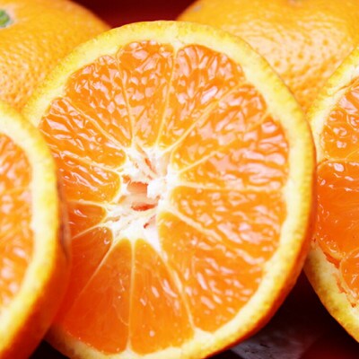 【訳あり】田村みかん 10kg【uot717】