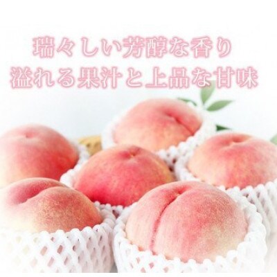 秀品 紀州和歌山産の桃 3玉 化粧箱入【uot750】