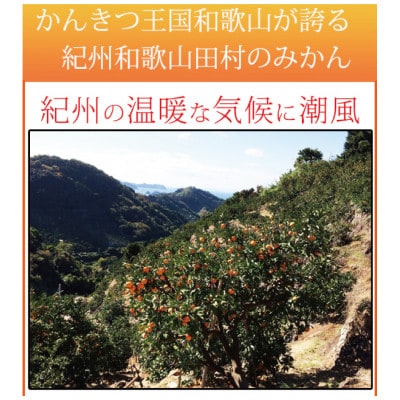 【ご家庭用訳あり】田村みかん 5kg【uot754A】