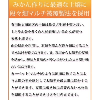 【ご家庭用訳あり】田村みかん 5kg【uot754A】