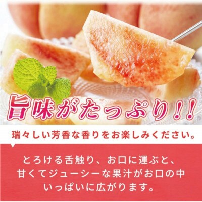 紀州和歌山産の桃 15玉 化粧箱入【uot780A】