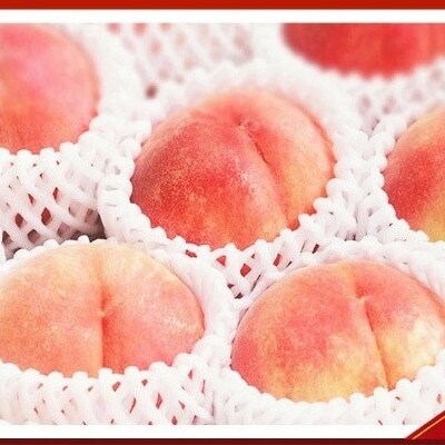 紀州和歌山産の桃 15玉 化粧箱入【uot780A】